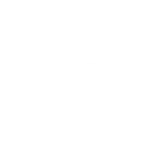 Insights Association Ecommerce Portfolio White