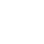 Strategic Management Society Ecommerce Portfolio White