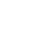 American Marketing Association Ecommerce Portfolio White