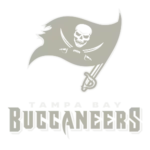 Tampa Bay Buccaneers Ecommerce Portfolio Gray