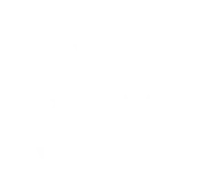 Top Ecommerce Consultants Award DesignRush White